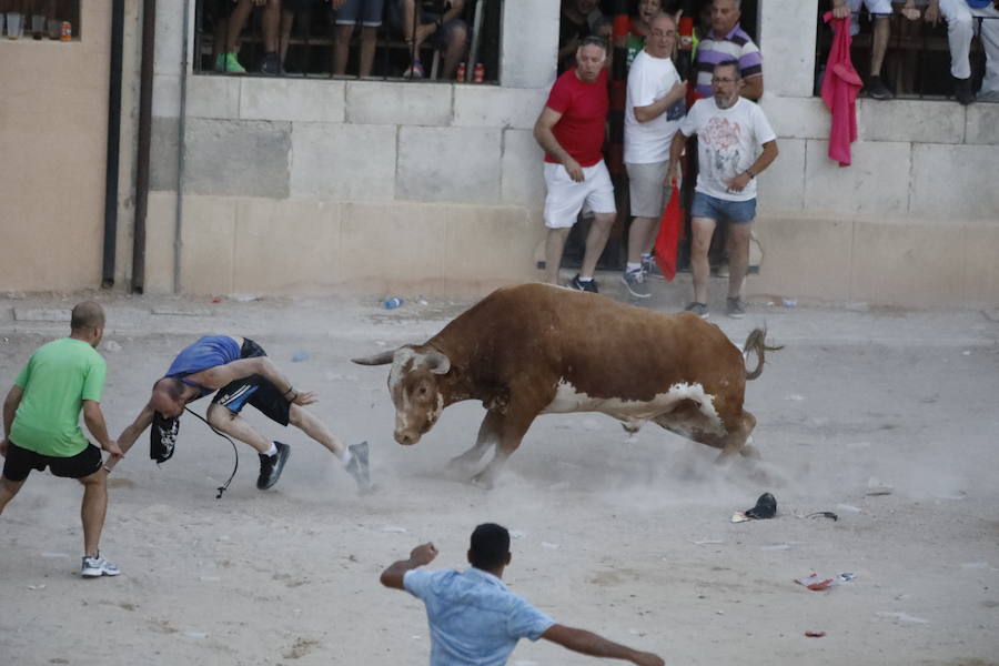 Uno de los mozos ha sufrido un varetazo por parte de uno de los novillos que han participado en la suelta de esta tarde en la localidad vallisoletana. Hoy Peñafiel celebra su patrón, San Roque