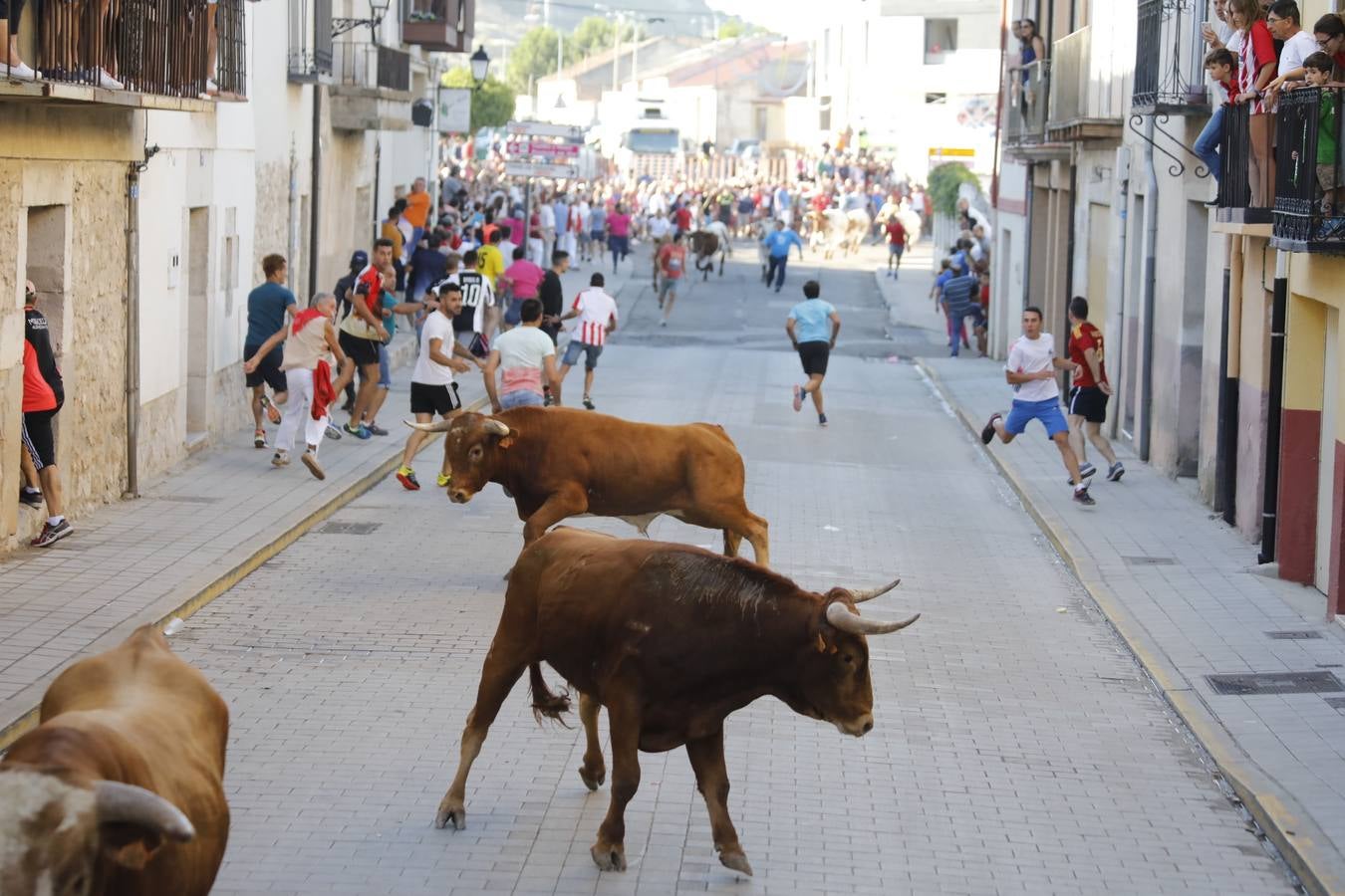 Fotos: Encierro mañanero en Peñafiel