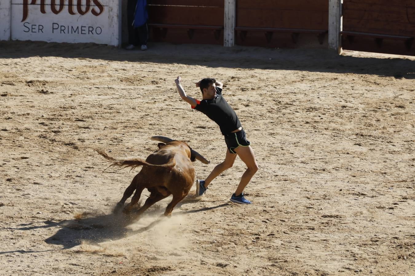 Fotos: Encierro mañanero en Peñafiel