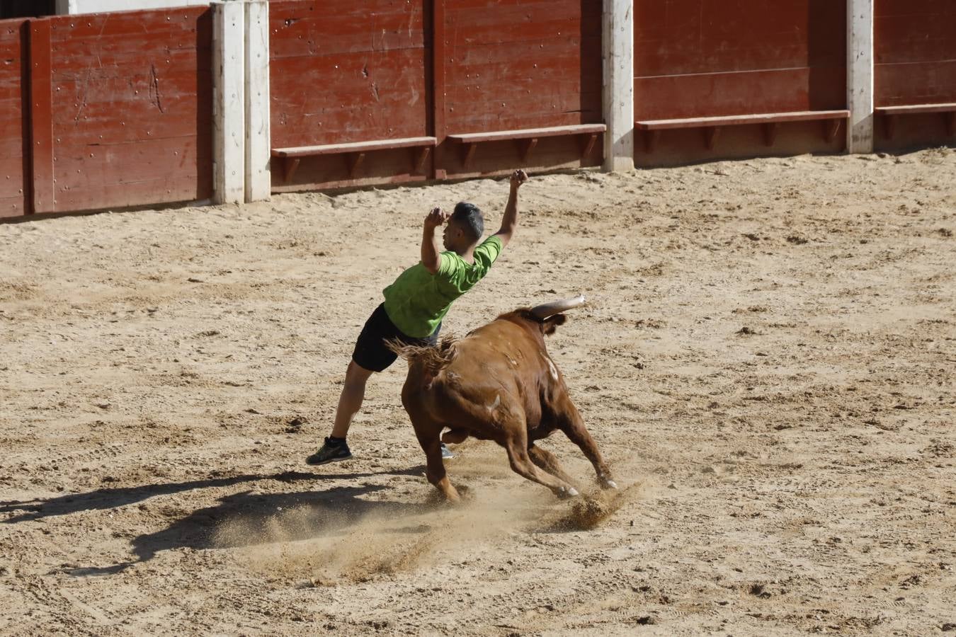 Fotos: Encierro mañanero en Peñafiel