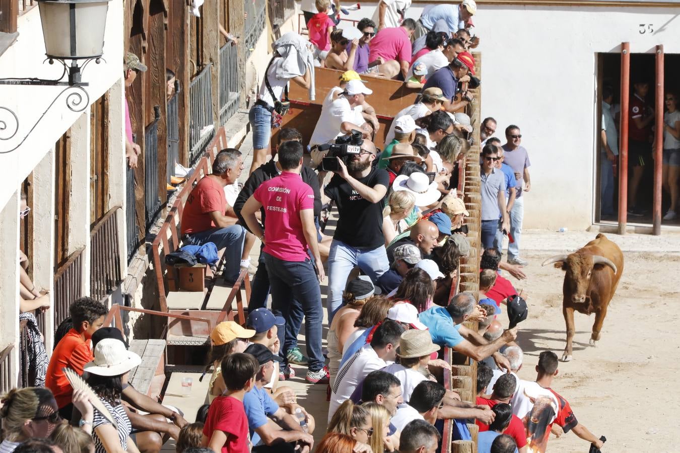 Fotos: Encierro mañanero en Peñafiel