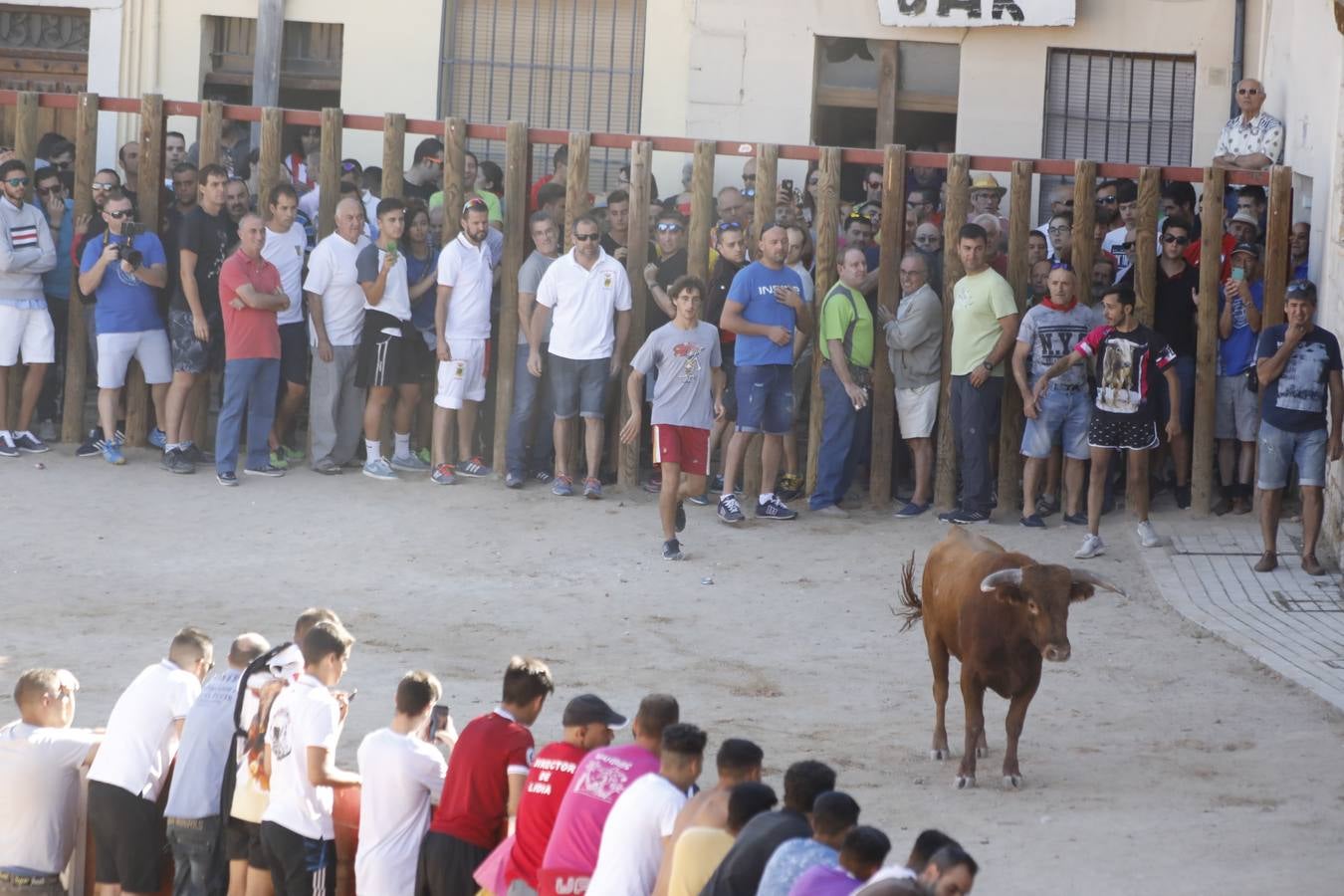 Fotos: Encierro mañanero en Peñafiel