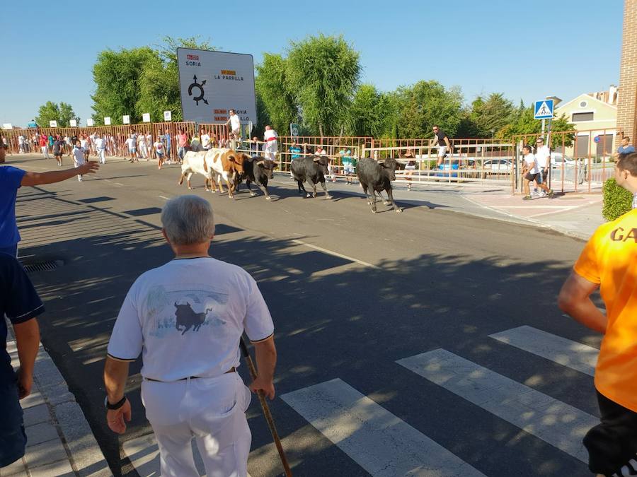 Fotos: Día de San Roque en Tudela de Duero