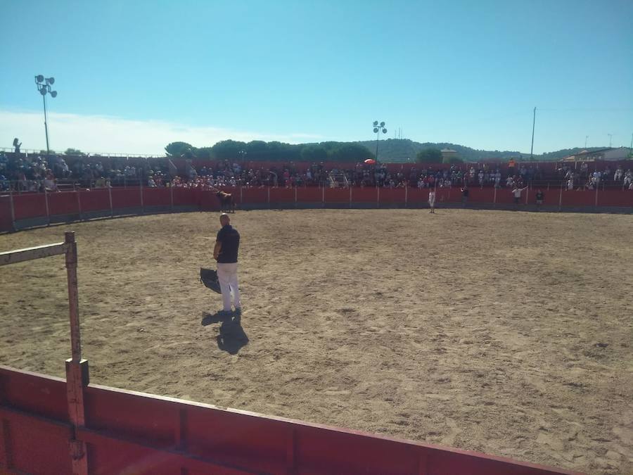 Fotos: Día de San Roque en Tudela de Duero