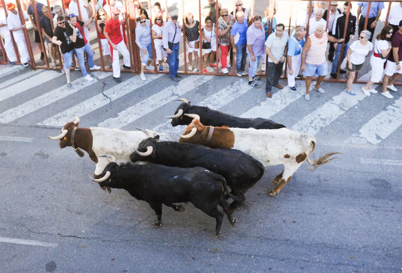 Fotos: Encierro de la mañana del jueves en Tudela de Duero