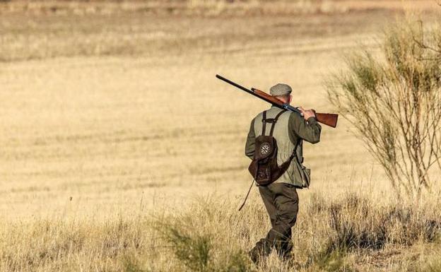 Se abre la media veda para 7.000 cazadores en la provincia de Soria