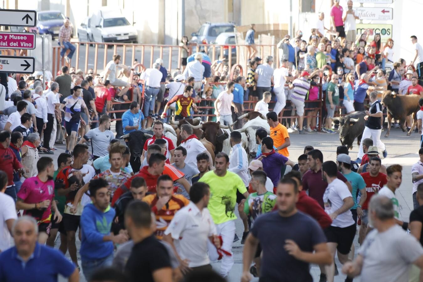 Fotos: Tercer encierro en Peñafiel