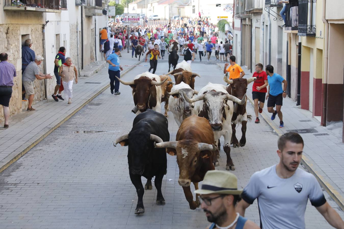 Fotos: Tercer encierro en Peñafiel