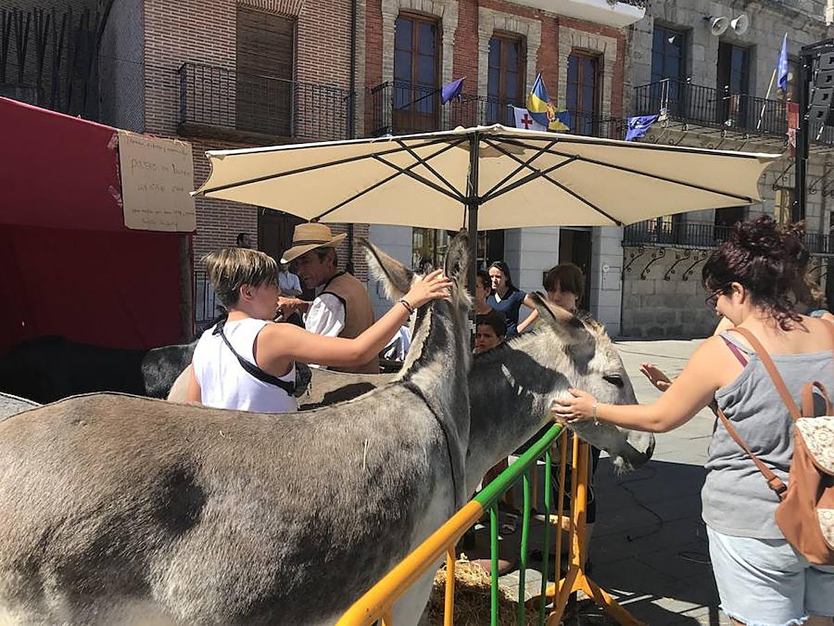 Fotos: Jornada del viernes de la Feria Renacentista Imperiales y Comuneros de Medina del Campo