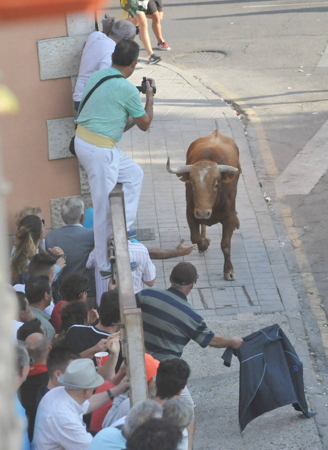 Fotos: Encierro del viernes en Tudela de Duero