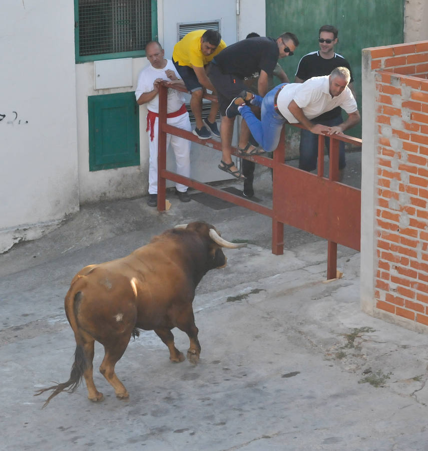 Fotos: Encierro del viernes en Tudela de Duero