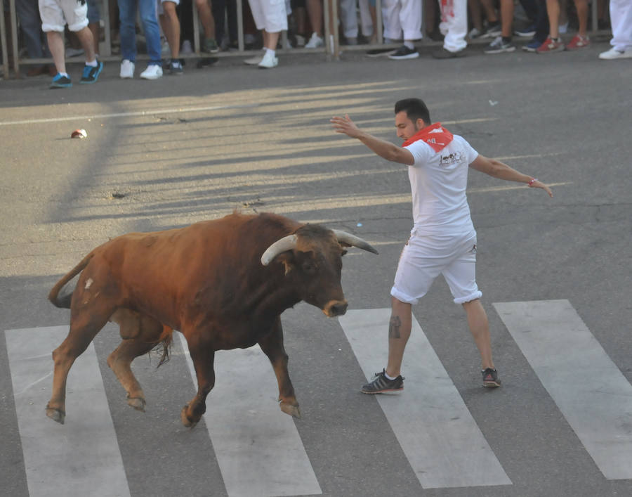 Fotos: Encierro del viernes en Tudela de Duero