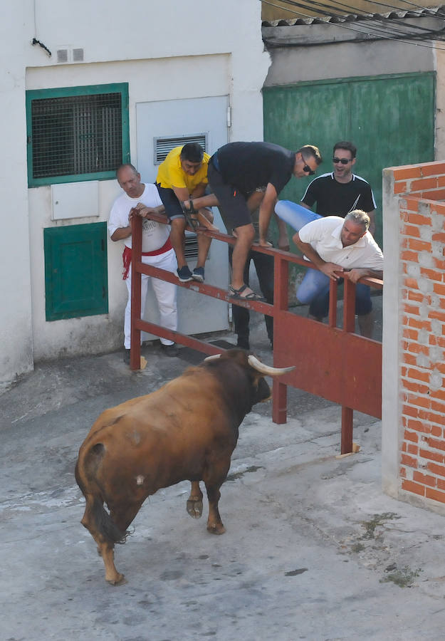 Fotos: Encierro del viernes en Tudela de Duero