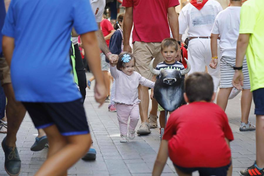 Fotos: Quinto encierro y capea de las fiestas de Peñafiel. Sábado