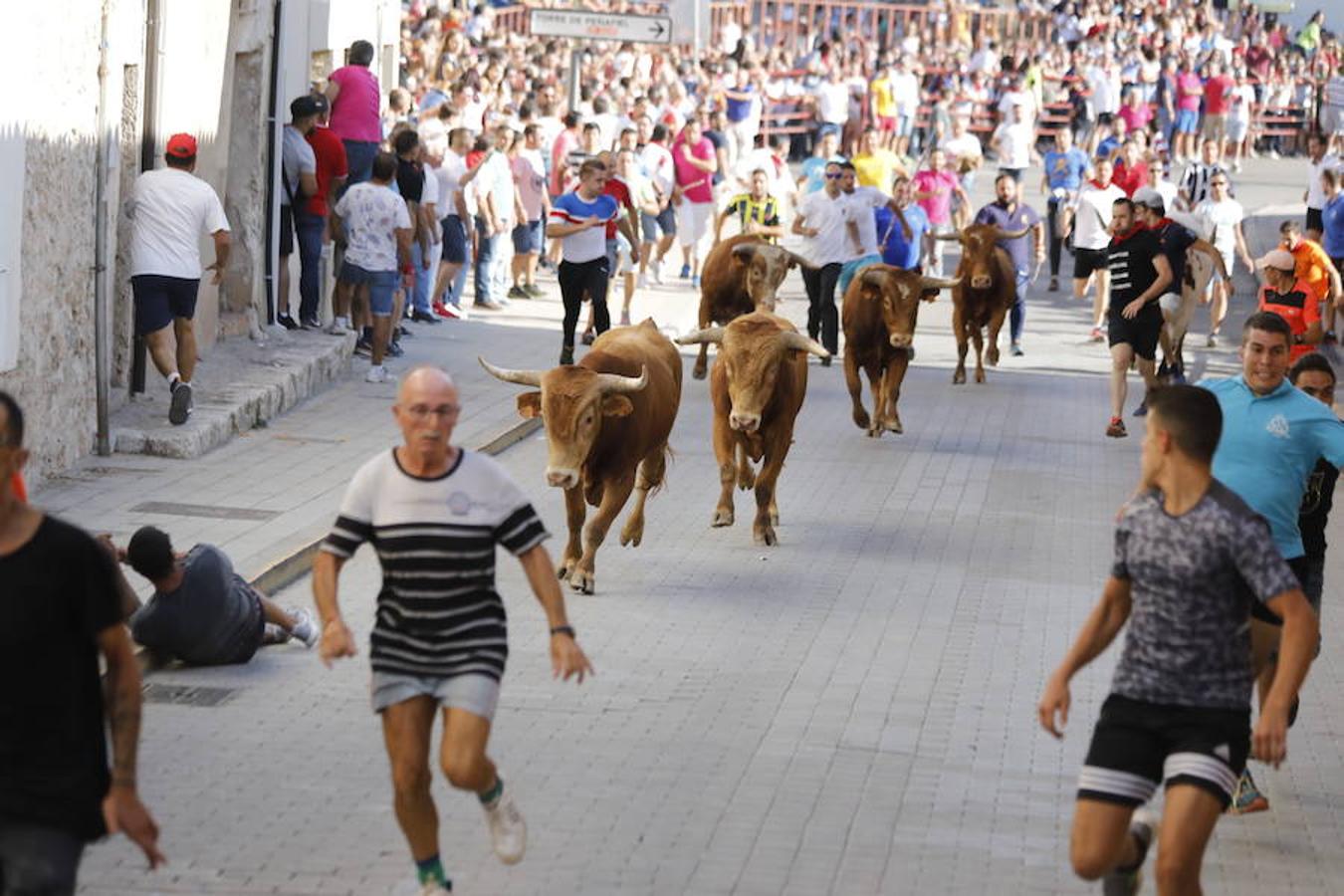 Fotos: Último encierro de las fiestas de Peñafiel