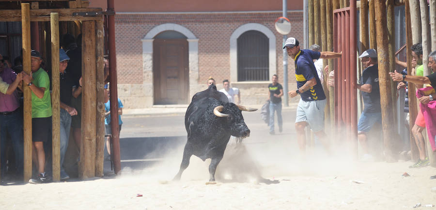 Fotos: Encierro del domingo en Serrada