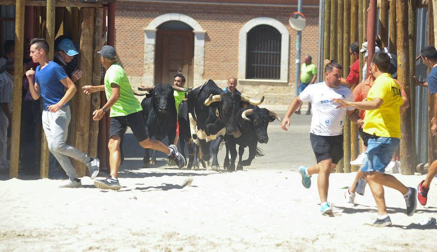 Fotos: Encierro del domingo en Serrada