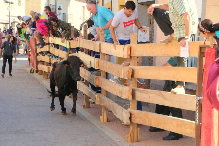 Fotos: Torquemada sigue Fiel a sus Encierros