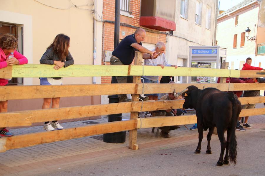 Fotos: Torquemada sigue Fiel a sus Encierros