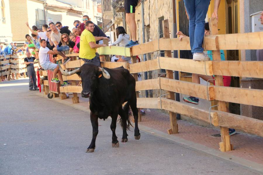 Fotos: Torquemada sigue Fiel a sus Encierros