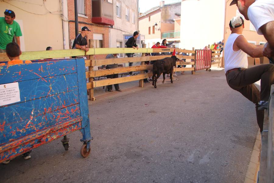 Fotos: Torquemada sigue Fiel a sus Encierros