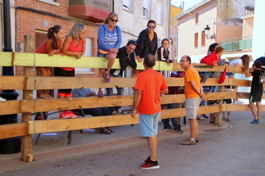Fotos: Torquemada sigue Fiel a sus Encierros