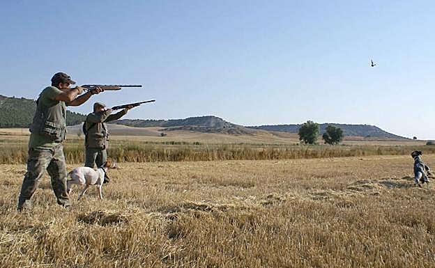 Dos cazadores, en una jornada de caza en el campo con perros.