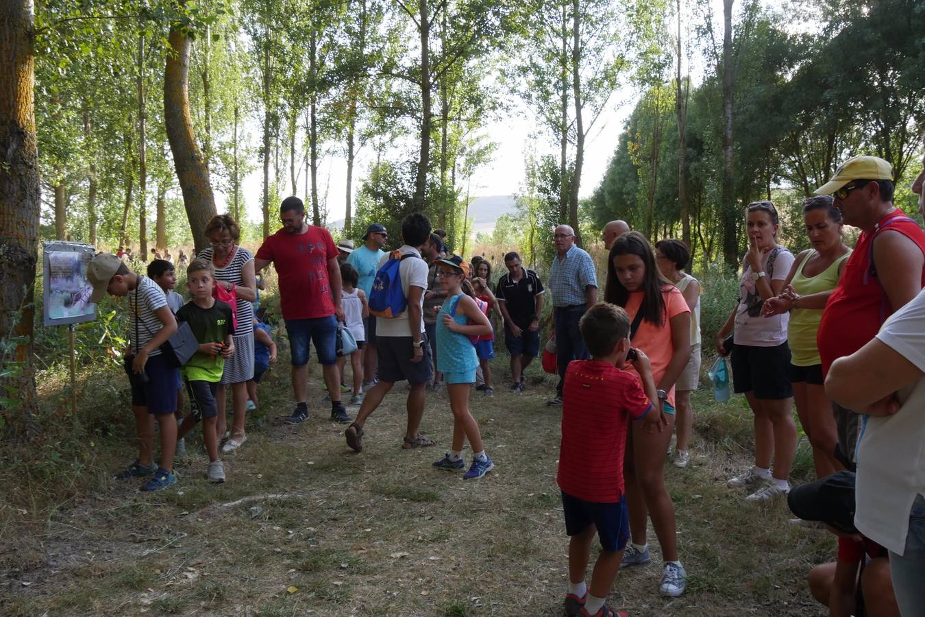 Fotos: Actividad medioambiental en Castrodeza