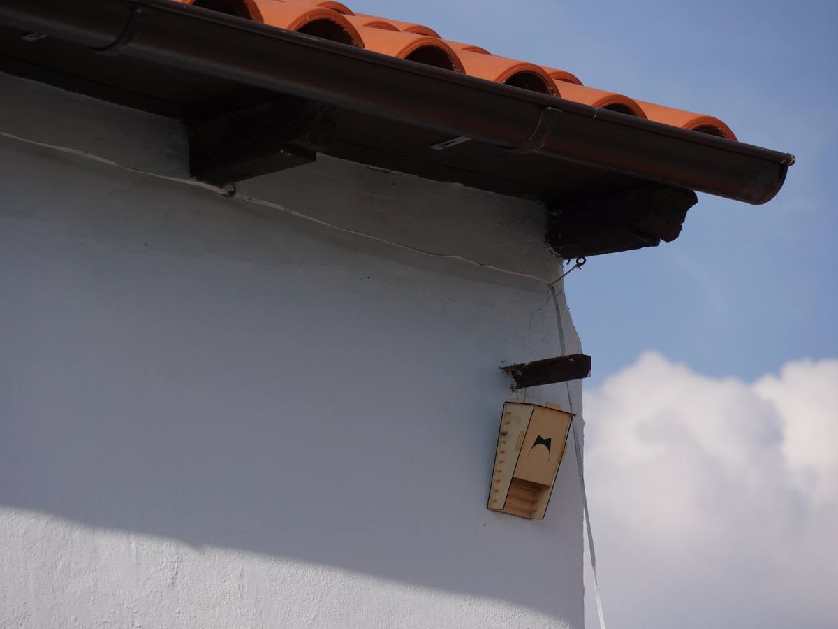 Fotos: Actividad medioambiental en Castrodeza