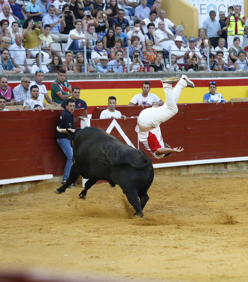 Fotos: &#039;Use&#039; gana el concurso de cortes de Palencia