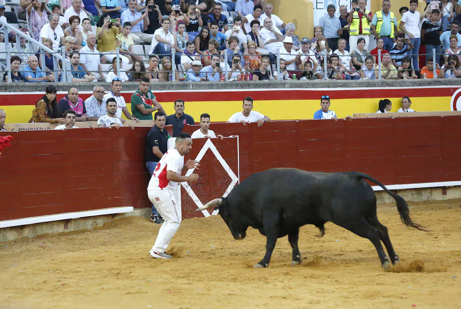 Fotos: &#039;Use&#039; gana el concurso de cortes de Palencia