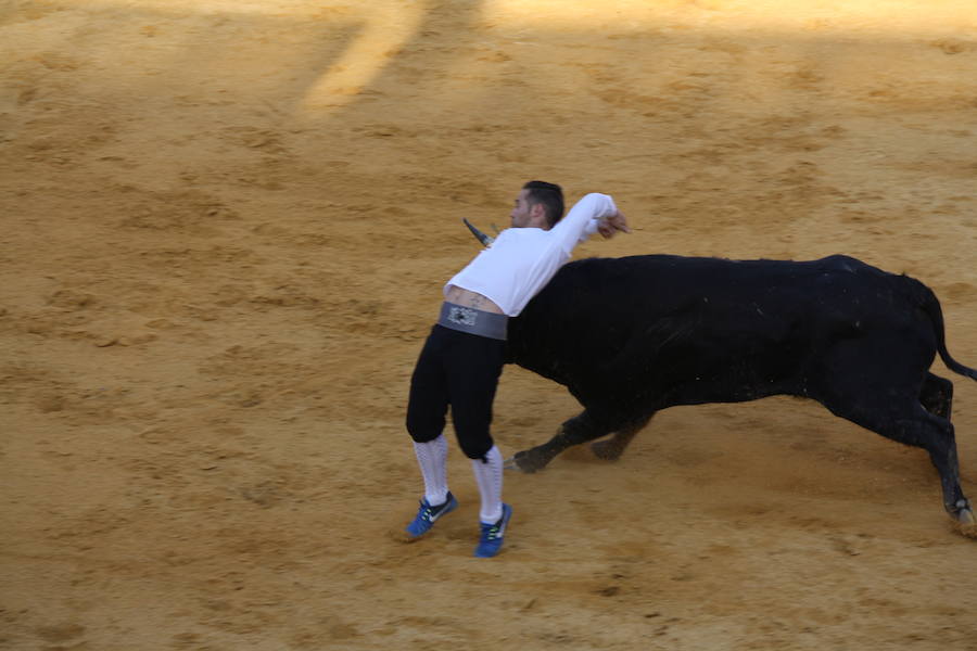 El toledano Moisés Fernández se impone en la octava edición del concurso de cortes de Cuéllar