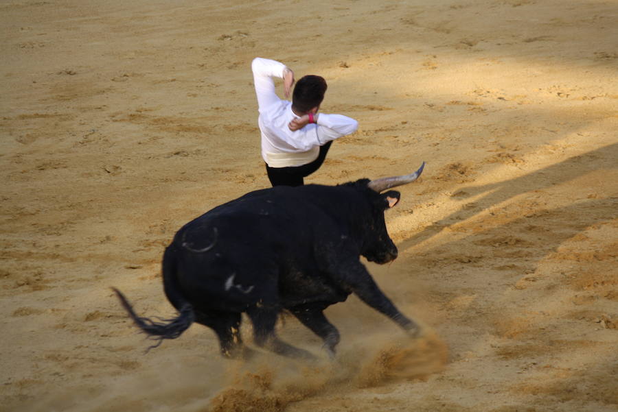 El toledano Moisés Fernández se impone en la octava edición del concurso de cortes de Cuéllar
