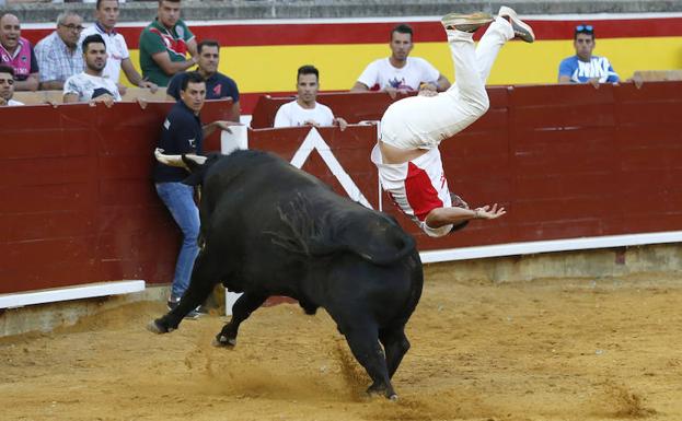 'Use' ejecuta el salto que le hizo campeón por tecer año consecutivo del Concurso de Recorte Libre de Palencia.