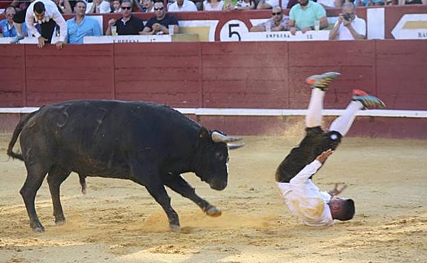 Imagen principal - Cogida del cortador cuellarano Héctor Cabano en el concurso de cortes de la villa.