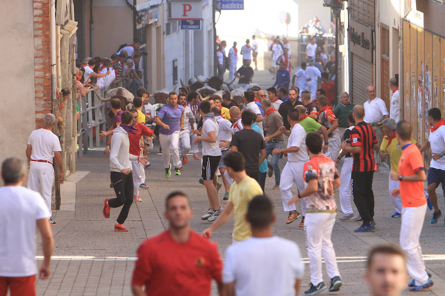 Fotos: Segundo encierro de las fiestas de Cuéllar