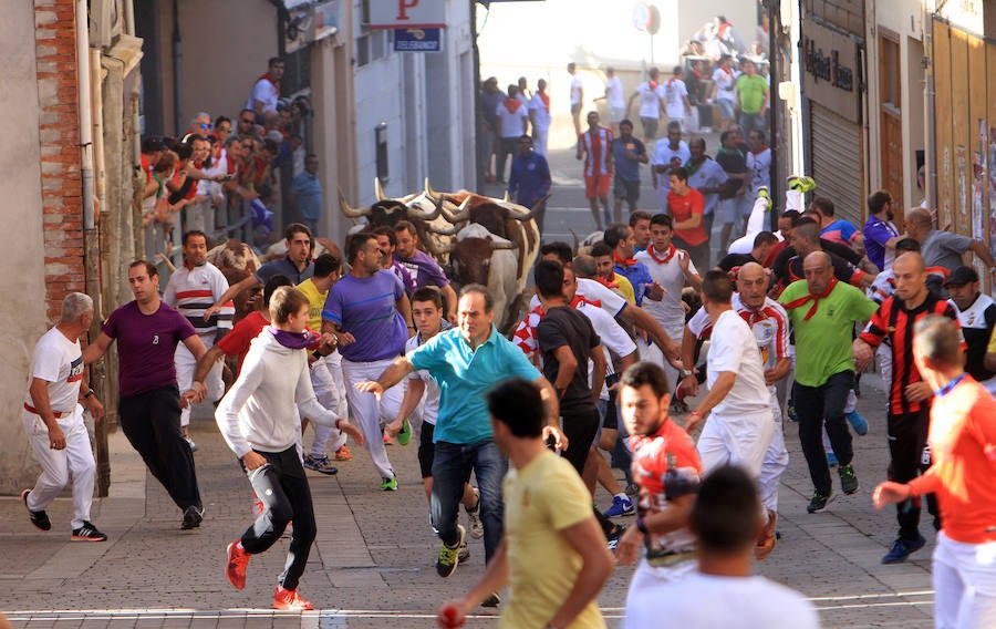 Fotos: Segundo encierro de las fiestas de Cuéllar