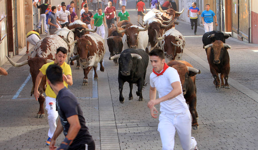 Fotos: Segundo encierro de las fiestas de Cuéllar