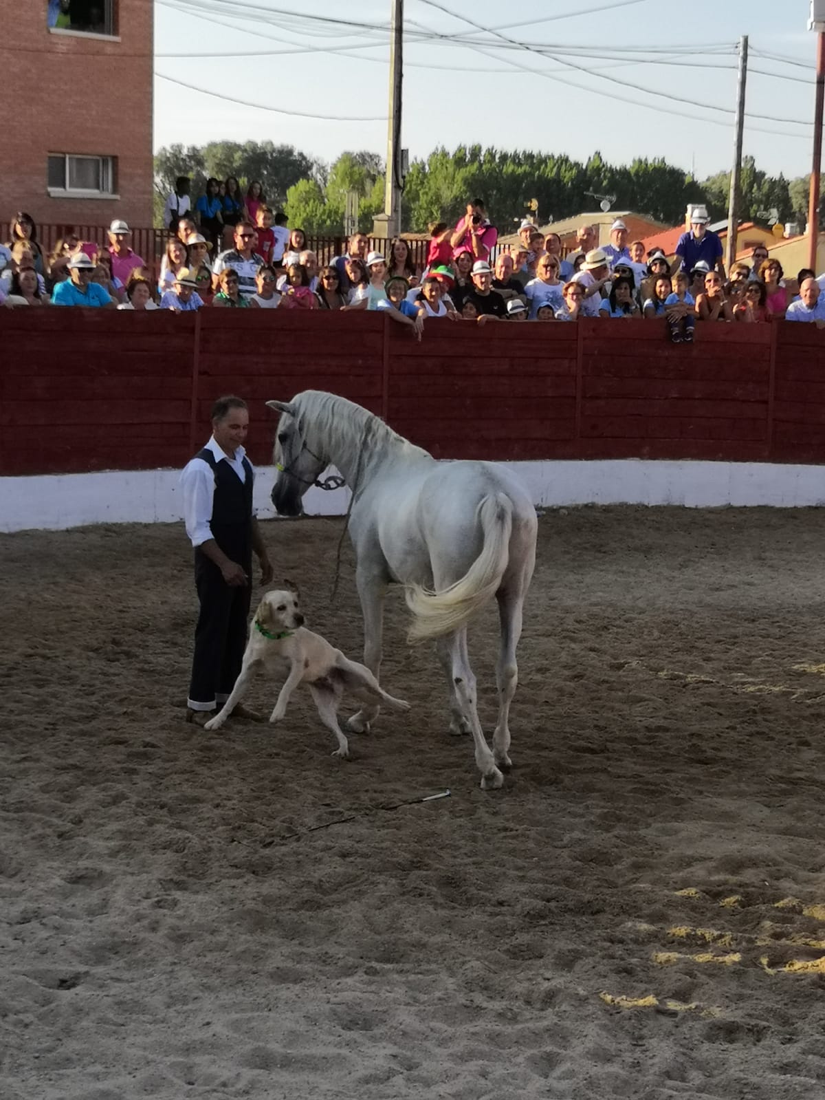 La localidad ha celebrado una exhibición ecuestre solidaria y recaudó 1.587 euros para investigación sobre la enfermedad AME