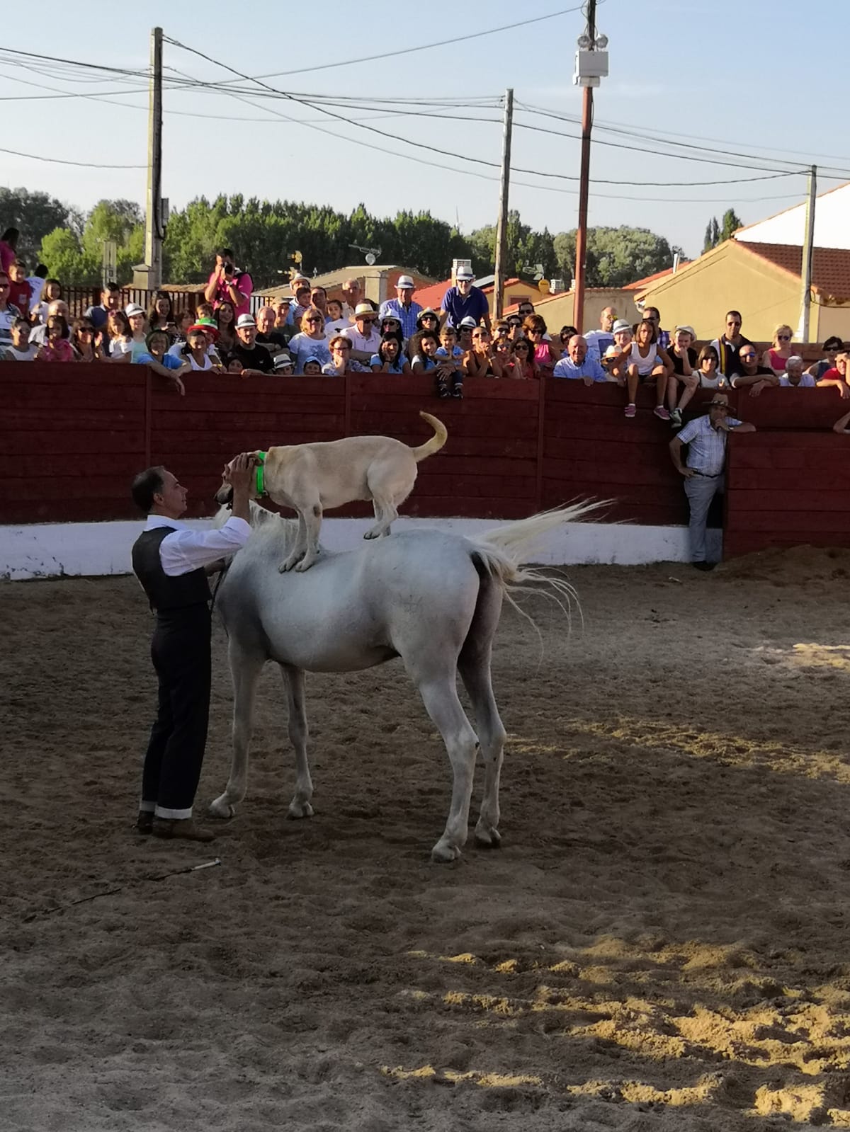 La localidad ha celebrado una exhibición ecuestre solidaria y recaudó 1.587 euros para investigación sobre la enfermedad AME