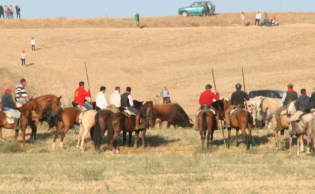 Imagen principal - Arriba, descando en el campo. Abajo, izquierda, llegada a la zona del Embudo y, drecha, conducción de los bravos por el pinar.