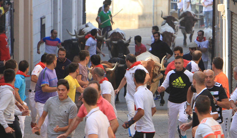 Fotos: Cuarto encierro de las fiestas de Cuéllar