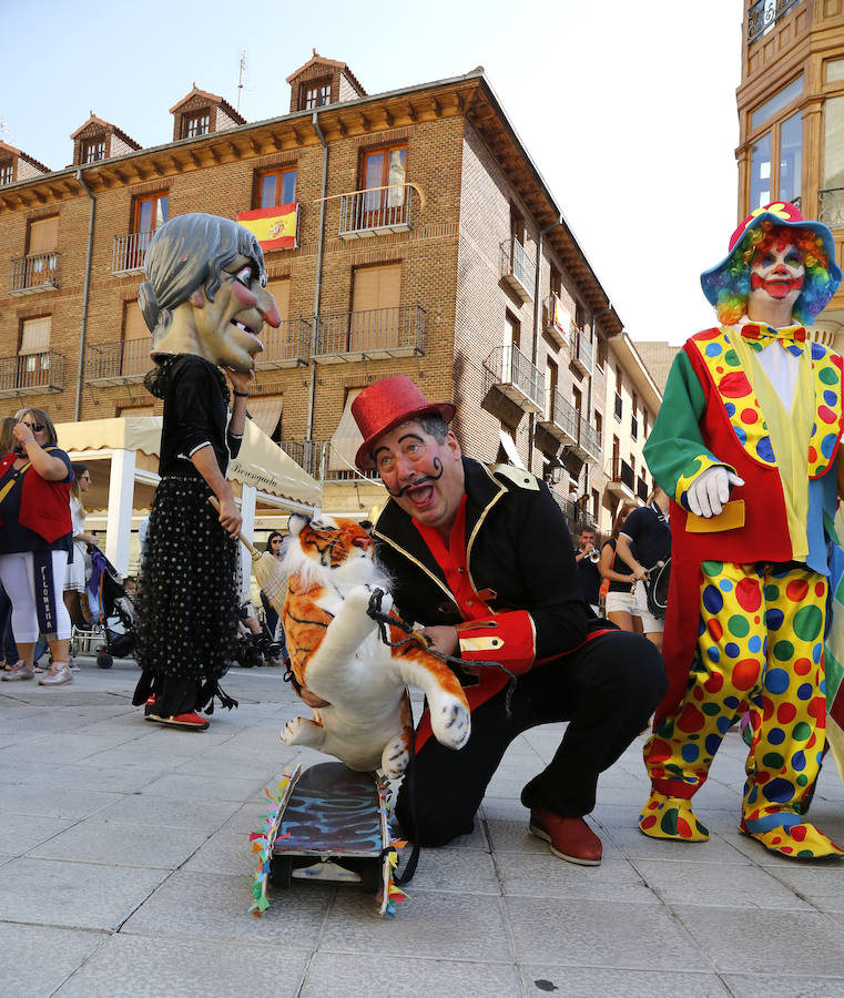 Fotos: Celebración del Día de San Antolín