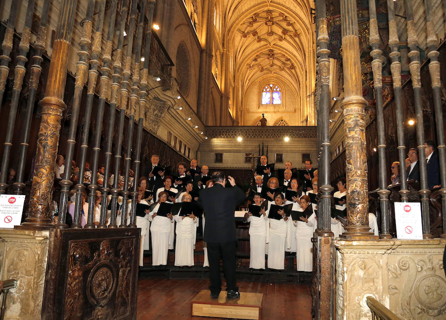 Fotos: Celebración del Día de San Antolín