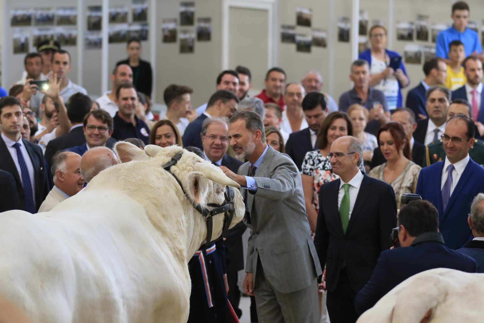 Fotos: Visita de los Reyes a la Feria Agropecuaria de Salamanca