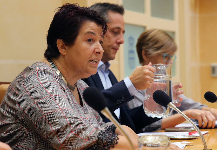 Fotos: Pleno del Ayuntamiento de Segovia