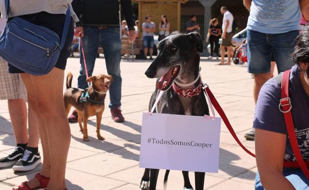 Manifestación por la muerte de 'Cooper' en Santovenia.L. R.