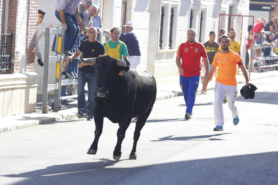 Fotos: Encierro de la mañana del sábado en las fiestas de Laguna de Duero 2018