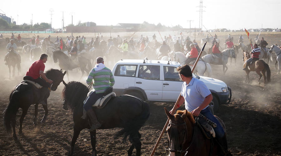 Último encierro de las fiestas de Medina del Campo.