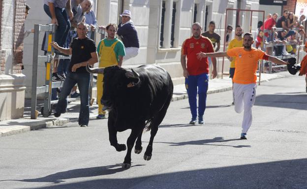 Encierro de la mañana por las calles de Laguna.